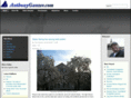 tonyganzer.com
