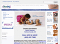 venturacountycarpetcleaning.com