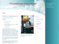 vnlaundromat.com