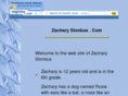 zacharystonkus.com