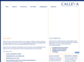 callevaconsulting.com