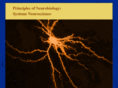 systemsneuroscience.info