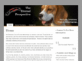 theeternalperspective.com