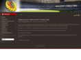 arena-sport-consulting.com