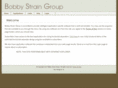 bobby-strain-group.com