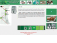 msighana.com