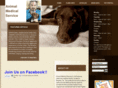 mybrewtonanimalhospital.com
