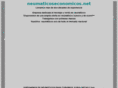 neumaticoseconomicos.net