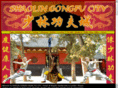 shaolingongfucity.com