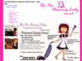 theprocleaninglady.com