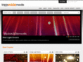 triplewidecontent.com