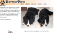 bernerpaw.com