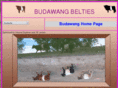 budawangbelties.com