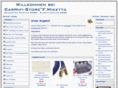 carhifi-store.net