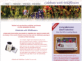 celebratewithwildflowers.com