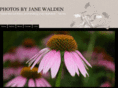 janewalden.com