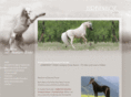 miniature-horse-texas.com