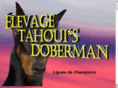 tahouidoberman.com