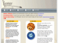 theexcelsiororganisation.com