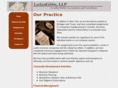 larkingibbs.com
