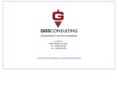 ogsconsulting.com