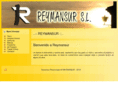 reymansur.com