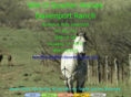 windquarterhorses.com