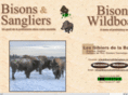 bisonsetsangliers.com