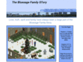 bluesagefamilystory.com
