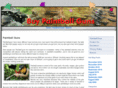 buypaintballguns.org