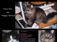 hungrycats.org