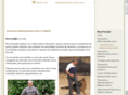 instructorcanino.com