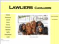 lawliers.net