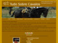 tudosobrecavalos.com