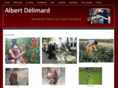 albertdelimard.com