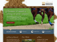 equestriansurfaces.com