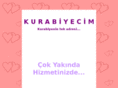 kurabiyecim.com