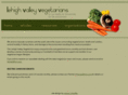 lehighvalleyvegetarians.com