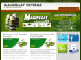 moringaextreme.com