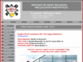 mountsifastpitch.com