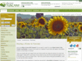 tuscanydreamhomes.com