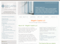 megafincapital.com