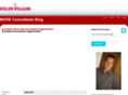 moreconsultantsblog.com