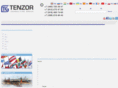 tenzorconsult.cn
