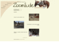 zoomilude.net