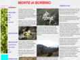 montediborbino.com