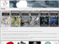 nvconcept.com
