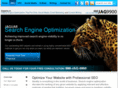 jaguarsearchengineoptimization.com