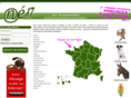 noe17.com