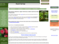 nopah-springs.com